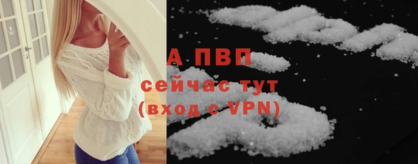 соль ск Няндома