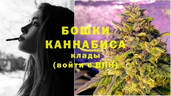 соль ск Няндома