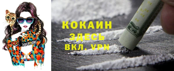 соль ск Няндома