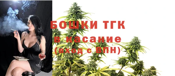 соль ск Няндома
